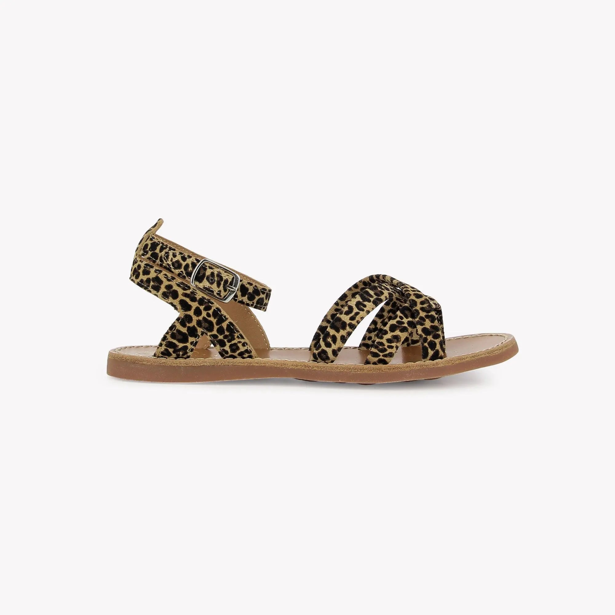 PLAGE CURV HI RITTER - MINI LEO - SAHARA Pom d'Api