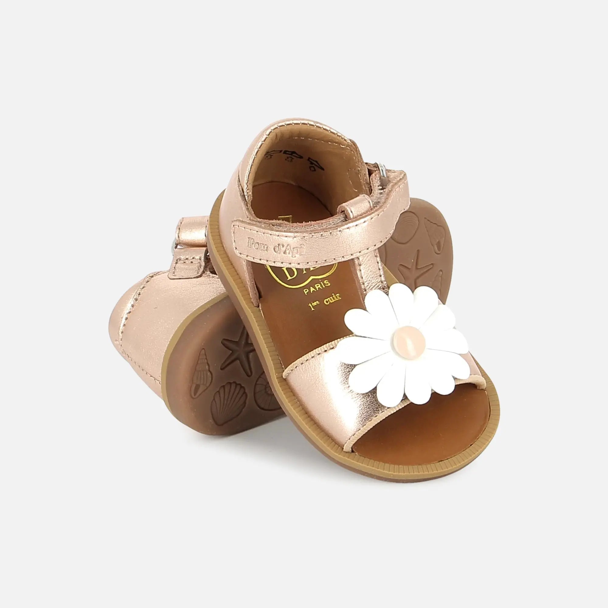 POPPY BIG FLO POM D'API