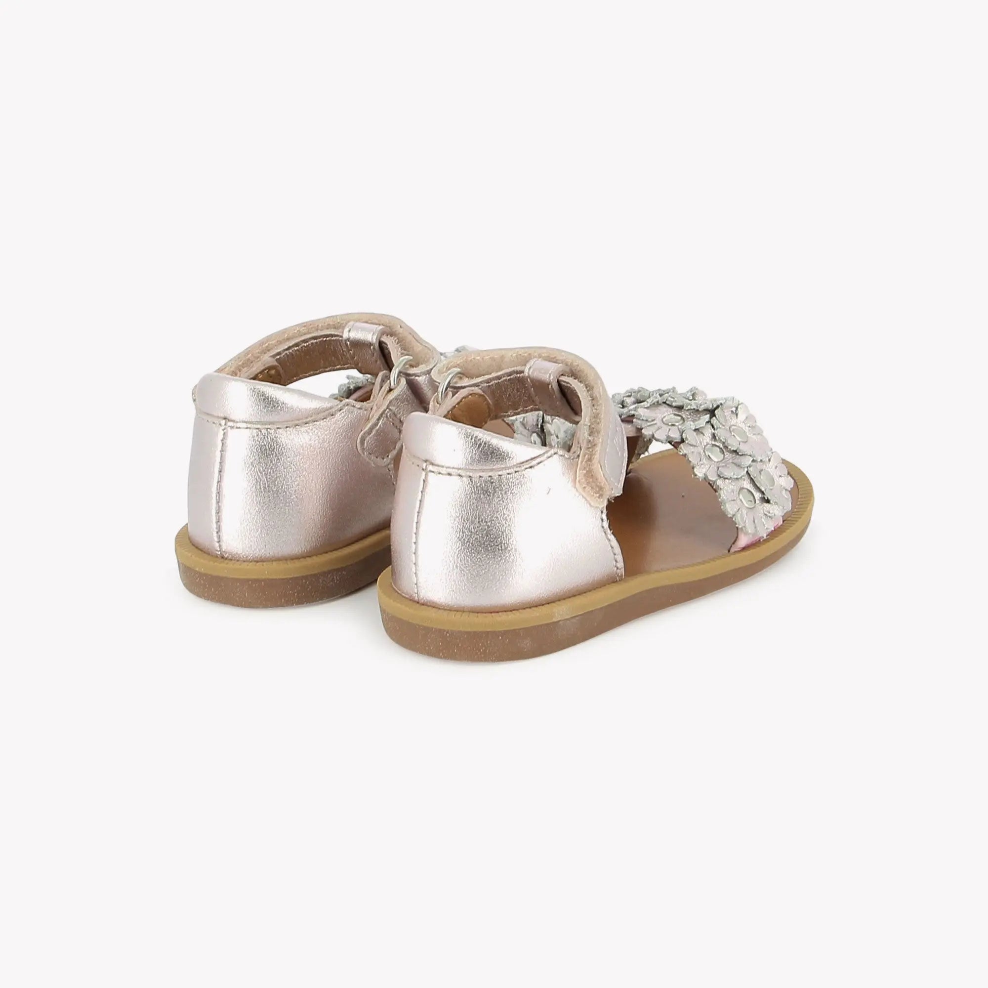 POPPY FLOWERS - LAMINATO - PETALO Pom d'Api