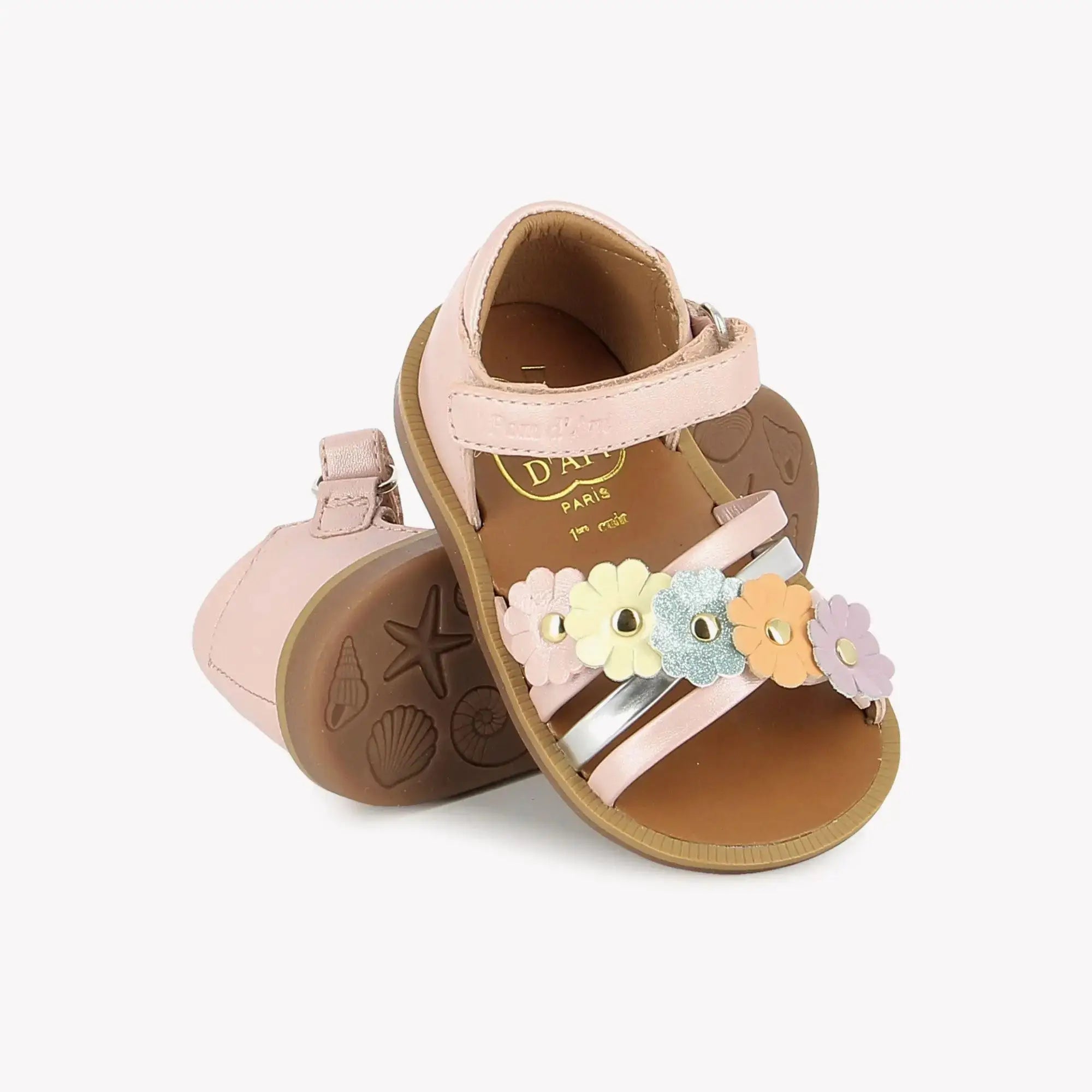 POPPY MULTI FLO - CASIOPEA - ROSE-MUTLI Pom d'Api