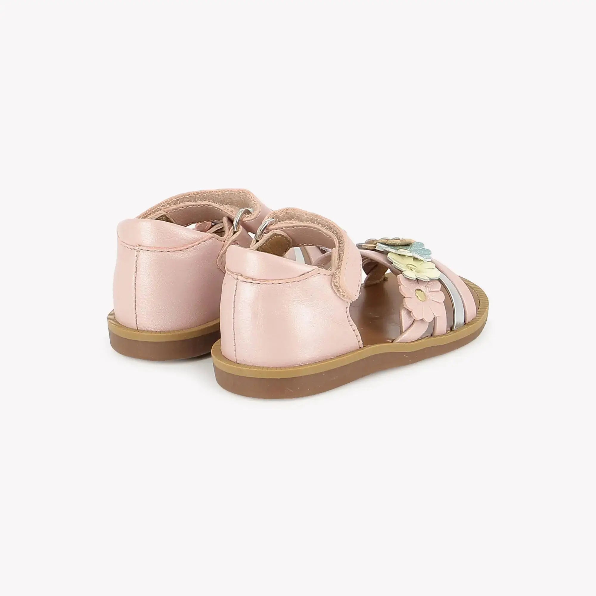 POPPY MULTI FLO - CASIOPEA - ROSE-MUTLI Pom d'Api