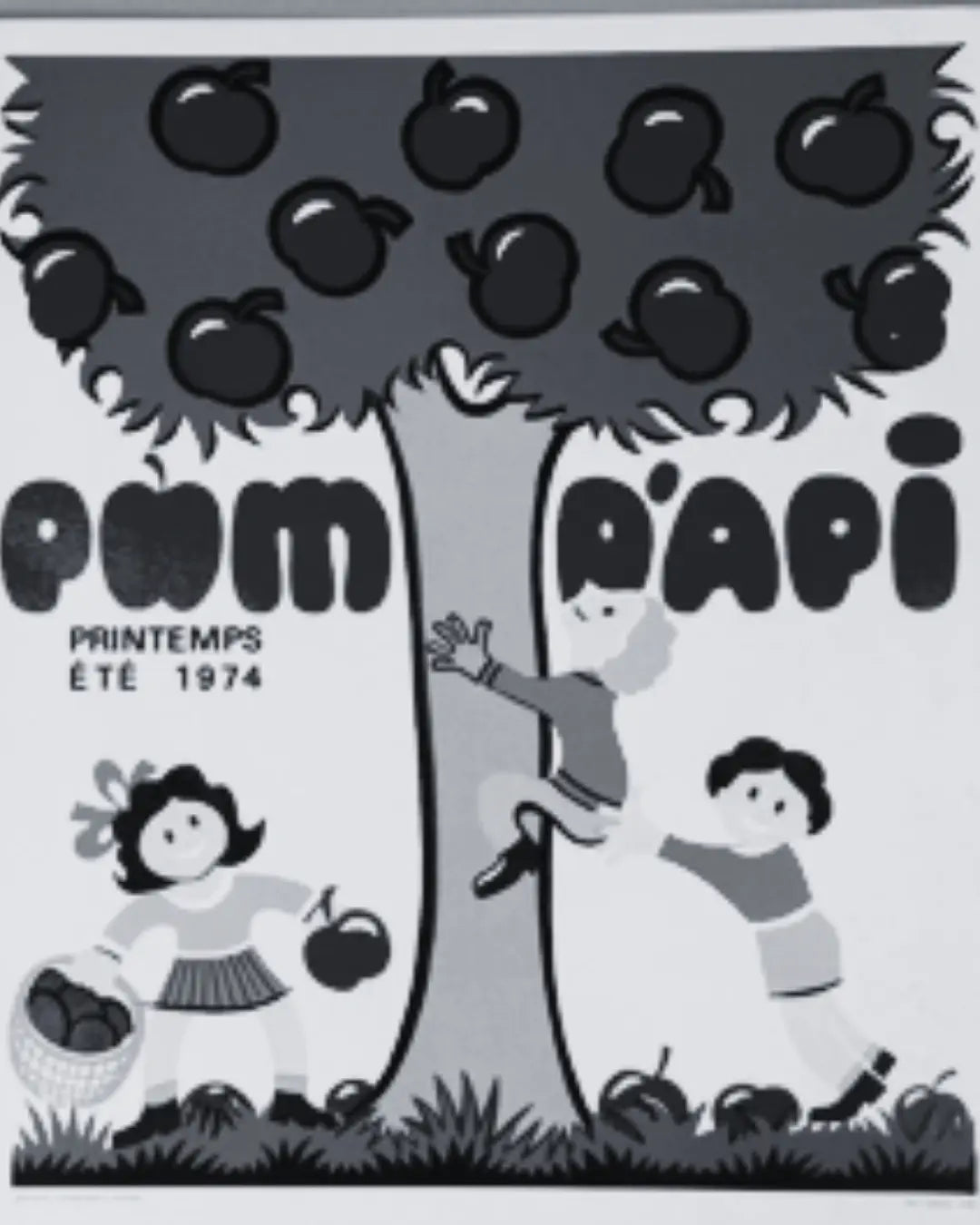 catalogue pom dapi