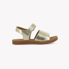 PLAGE-AIR EASY - MILLED LAMINATE - CHAMPAN Pom d'Api