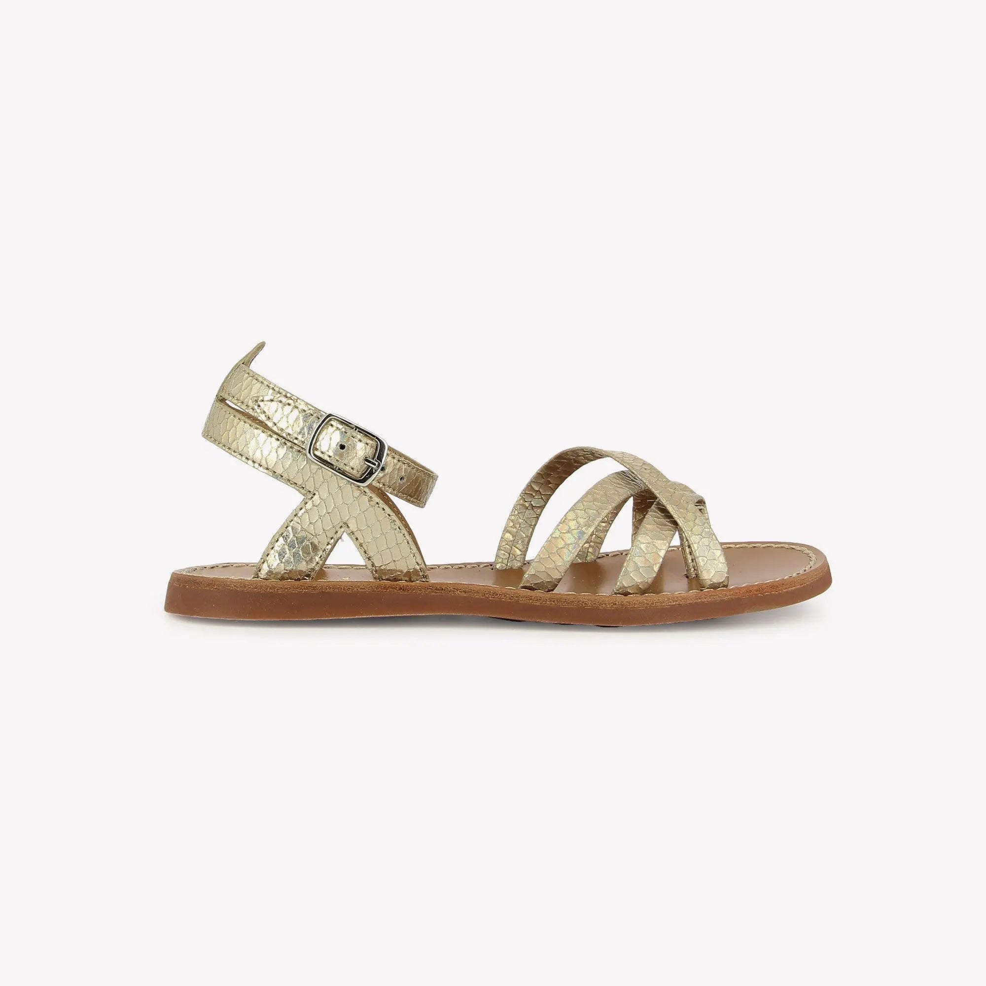 PLAGE CURV HI RITTER - VIPERA - LAZER MULTI Pom d'Api