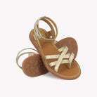 PLAGE CURV HI RITTER - VIPERA - LAZER MULTI Pom d'Api