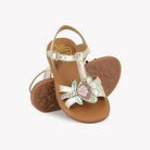 PLAGETTE ALTO - LAMINATO - PLATINE MULTI SOFT Pom d'Api