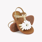 PLAGETTE BIG FLO - LAMINATO - IVORY Pom d'Api