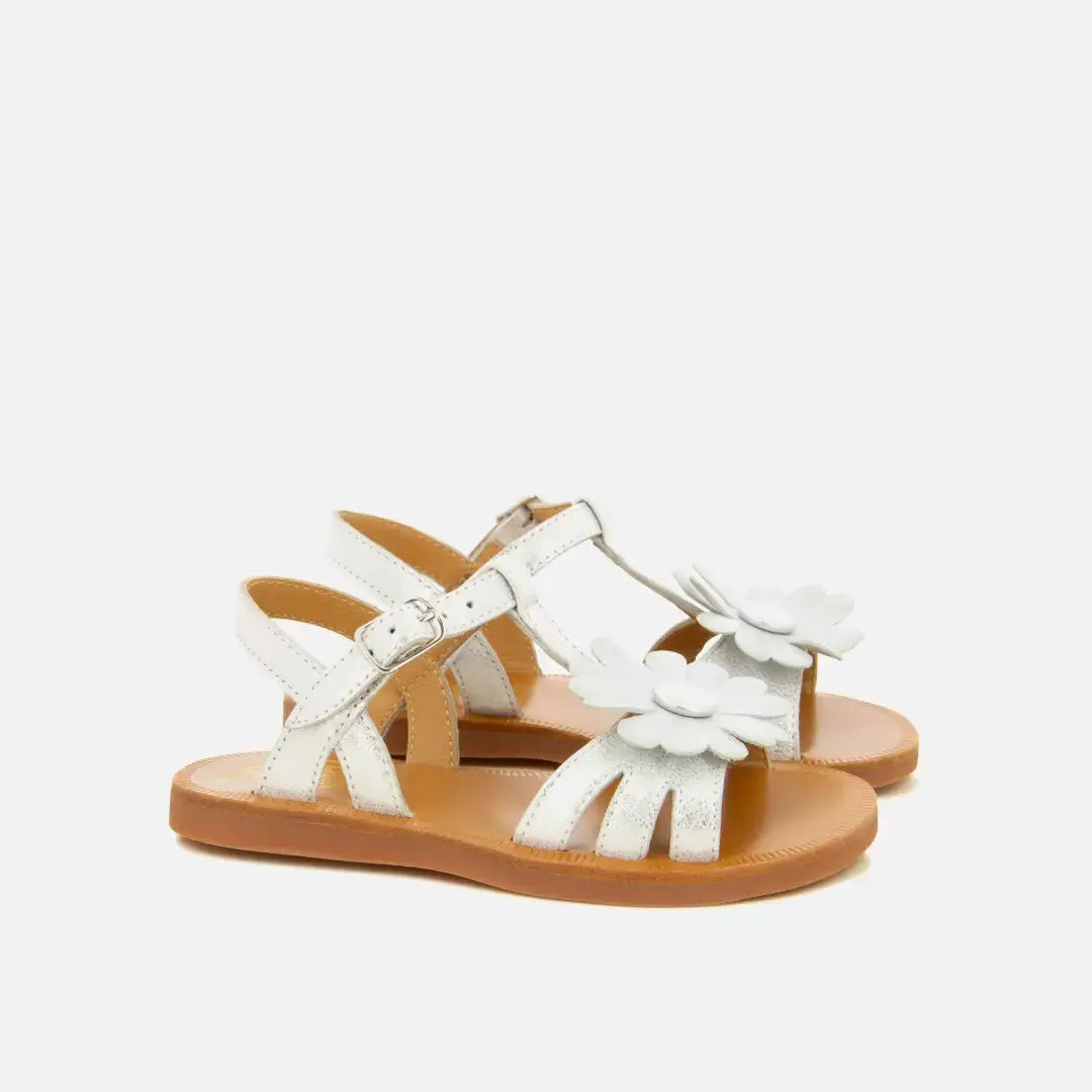 BIG FLO-Plättchen POM D'API