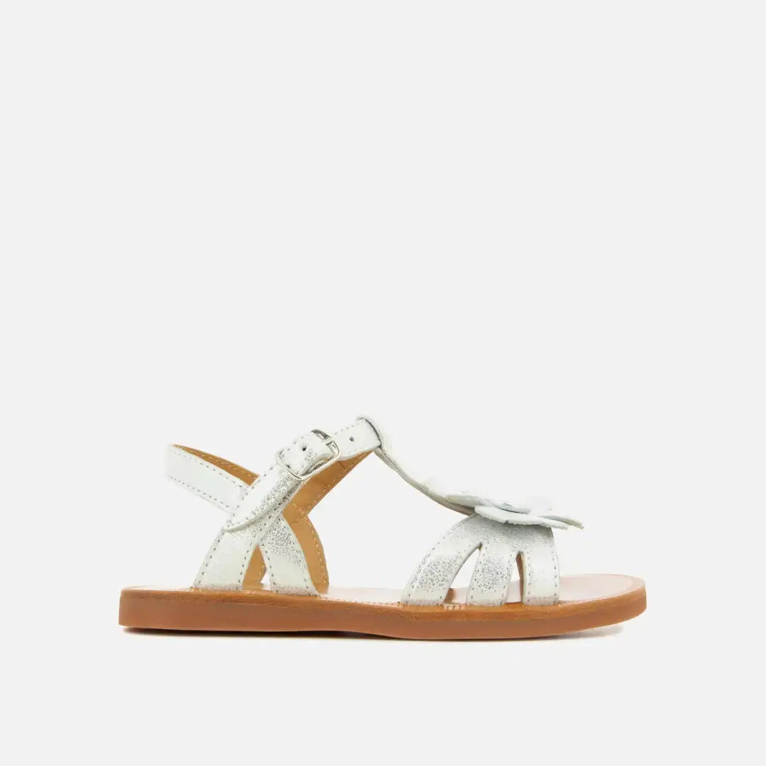 BIG FLO-Plättchen POM D'API