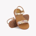 PLAGETTE FERNS - LAMINATO - KOPER Pom d'Api