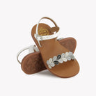 PLAGETTE FERNS – SOFTY PERLATO – WEISS Pom d'Api