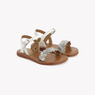 PLAGETTE FERNS – SOFTY PERLATO – WEISS Pom d'Api