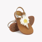 PLAGETTE TONG RAPHIA - LAMINATO - ORO PALA Pom d'Api