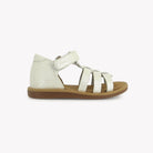 POPPY AIR PUR STRAP - CROSTA LINUS - ICE Pom d'Api