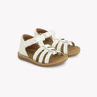 POPPY AIR PUR STRAP - CROSTA LINUS - ICE Pom d'Api