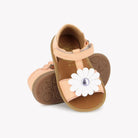 POPPY BIG FLO - KAISER - CLEMS Pom d'Api