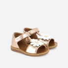 POPPY BIG FLO POM D'API