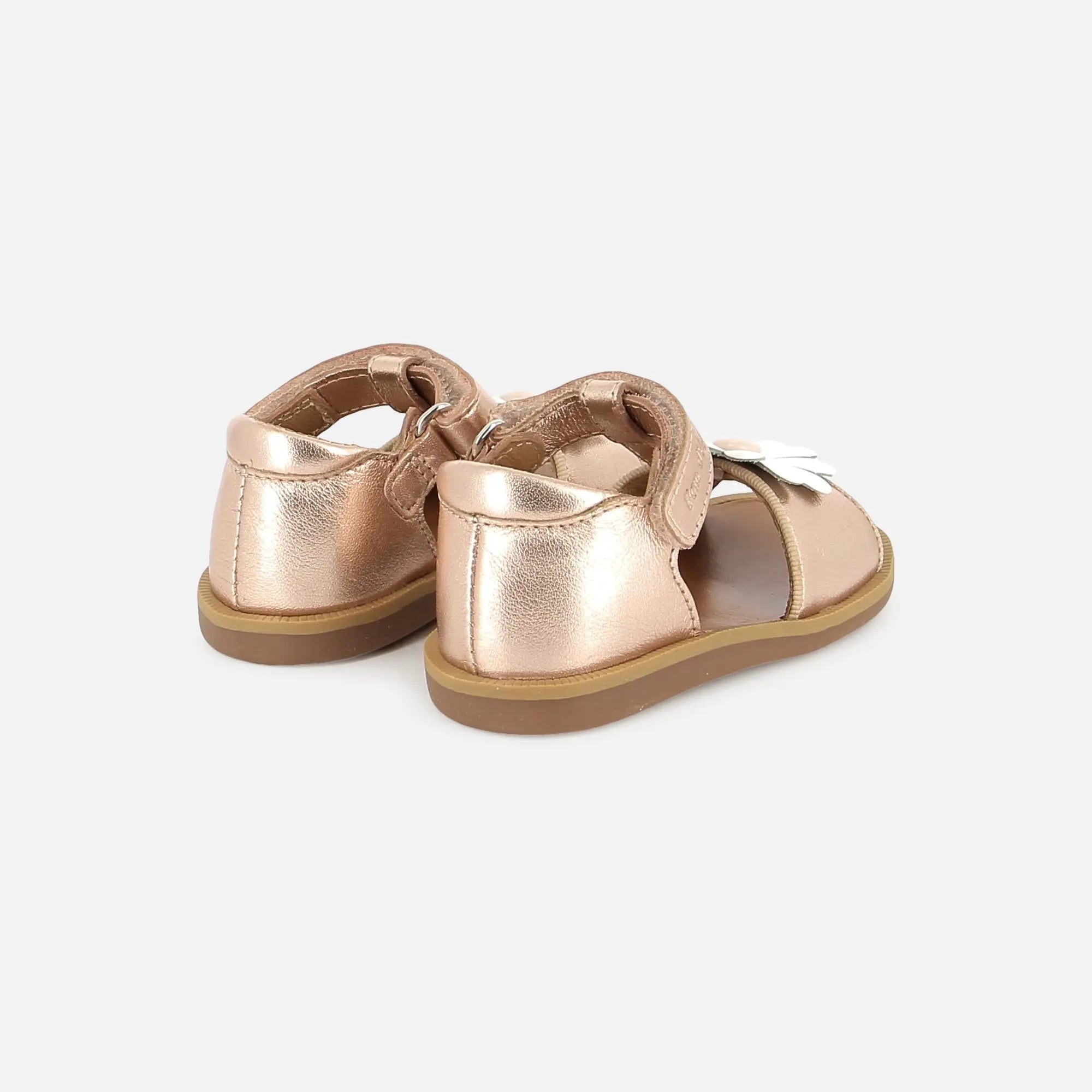 POPPY BIG FLO POM D'API