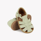 POPPY DADDY - VELVET - SALVIA Pom d'Api