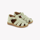 POPPY DADDY - VELVET - SALVIA Pom d'Api