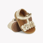 POPPY FLOWERS - LAMINATO - PLATINE Pom d'Api