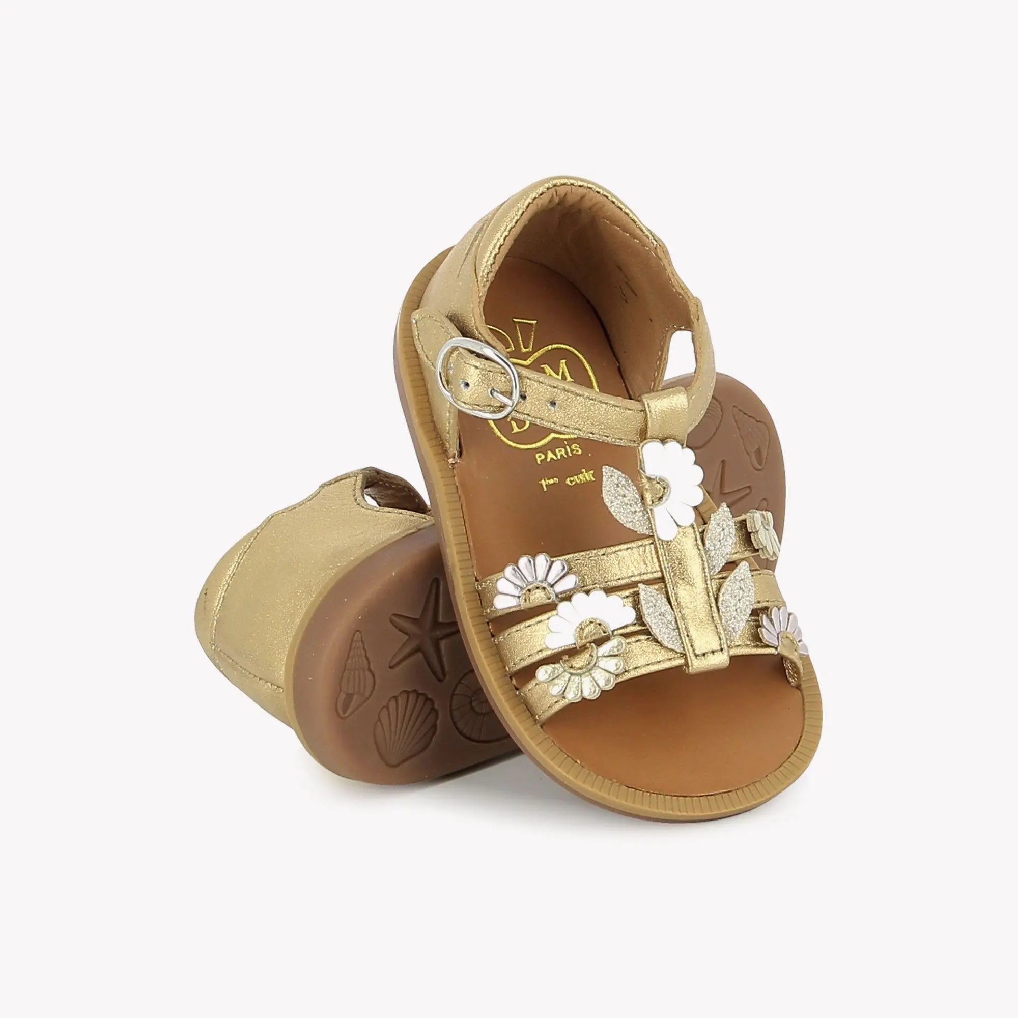 POPPY MULTI DAISY - LAMINATO - DORE-MULTI Pom d'Api