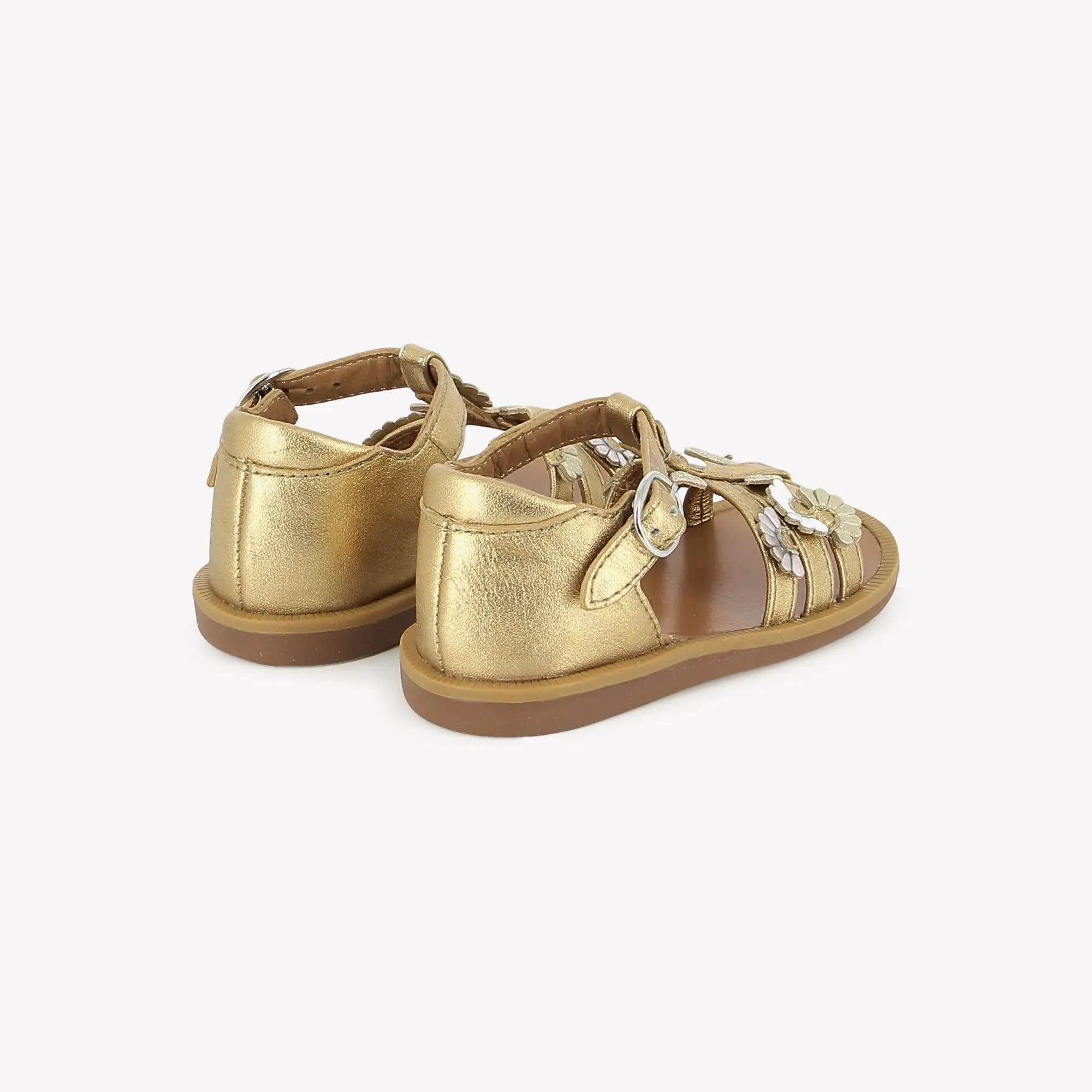 POPPY MULTI DAISY - LAMINATO - DORE-MULTI Pom d'Api