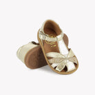 POPPY OTO - LAMINATE - PLATINUM-MULTI Pom d'Api