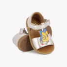 POPPY PAPILLON - LAMINATO - PETALO-MULTI Pom d'Api