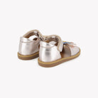 POPPY PAPILLON - LAMINATO - PETALO-MULTI Pom d'Api