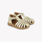 POPPY PITTI – LAMINATO GRAINE – PLATINE Pom d'Api