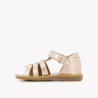 POPPY STRAP – LAMINATO – KUPFER Pom d'Api