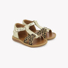 POPPY XEXE - LAM-MINI LEO - PLATINE-SAHARA Pom d'Api