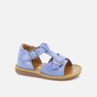 Poppy Bucky POM D'API