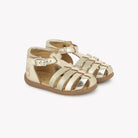 STAND-UP STRAP - LAM-FLO-GLI - PLATINO Pom d'Api