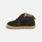 Chaussures barefoot Pom d'Api Teko en velours marron foncé avec lacets et fermeture éclair latérale