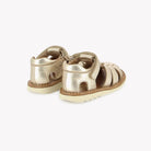 WAFF PAPY - LAMINATE - PLATINUM Pom d'Api