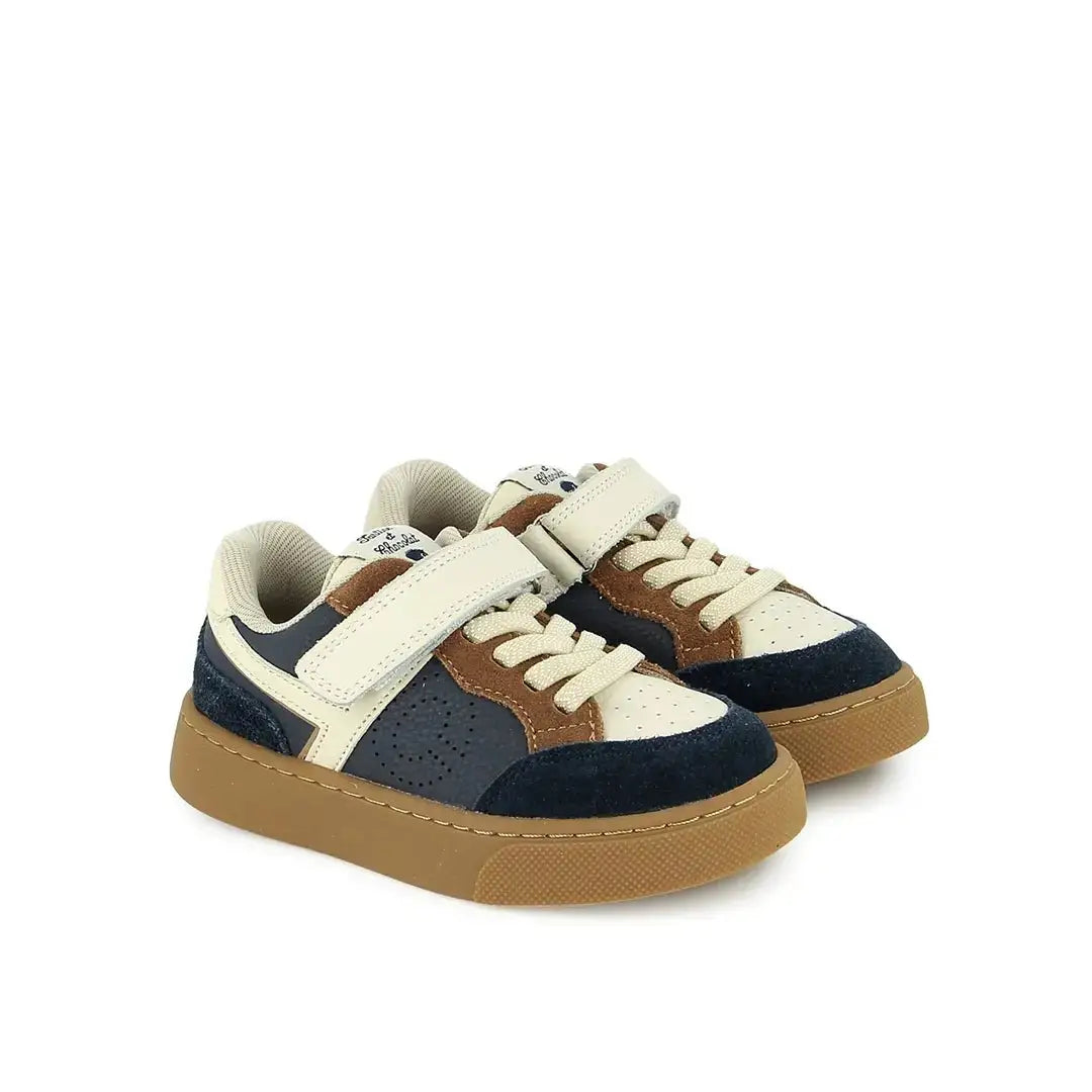 TARTINE ET CHOCOLAT SOULIERS - BASKETS - TC 17 LACES - NAPPA - NAVY - WHITE - CAMEL - Pom d'Api