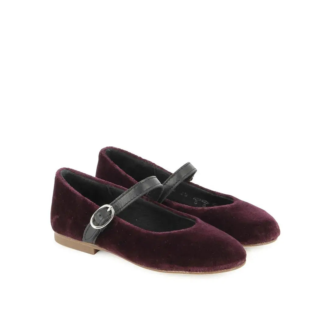 TARTINE ET CHOCOLAT SOULIERS - BALLERINES - TC FLASH PUNTA - PANNE DE VELOUR - AMETHYSTE - Pom d'Api