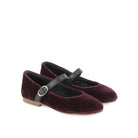 TARTINE ET CHOCOLAT SOULIERS  BALLERINA FLATS - TC FLASH PUNTA - VELOUR PANNE - AMETHYST - Pom d'Api