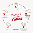 POM D'API - PREMIERS PAS - YAKA WALK - LAMINATO GRAINE - NOCCIOLA - Pom d'Api